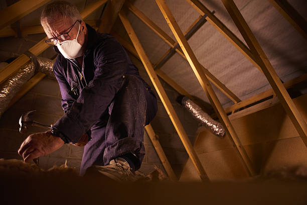 Best Insulation Maintenance and Repair in Thatcher, AZ